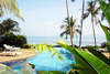 Coconut Paradise 